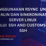 Perintah Rsync Over SSH and Customs Port