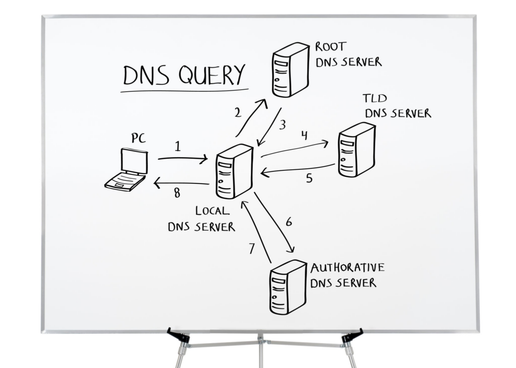 dns query
